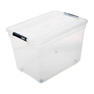 Boîte de Rangement Transparente 100 L