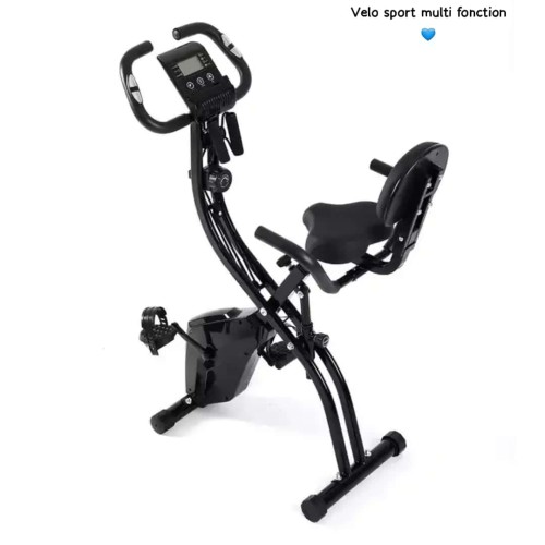 Vélo d’Appartement Fitness Pliable 2-en-1 avec Dossier et Écran LCD